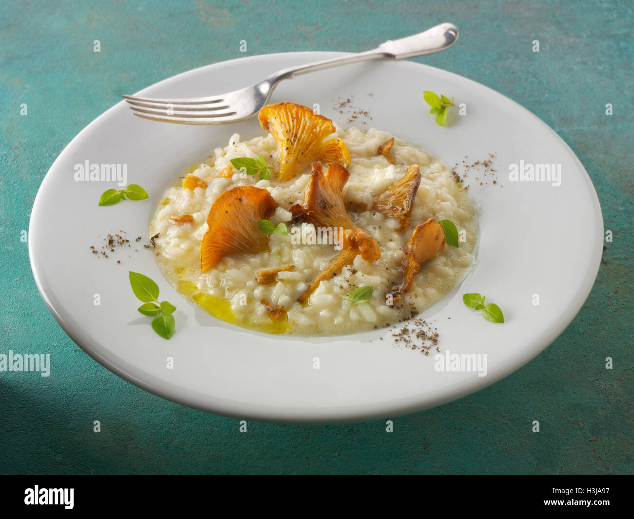Food image of sauteed chanterelle hires stock photography and images