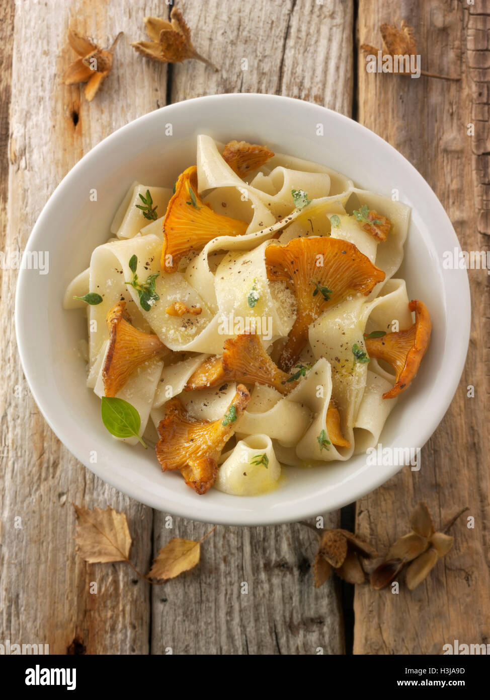 Wiild organic chanterelle or girolle Mushrooms (Cantharellus cibarius) or sauteed in butter with papedelle pasta Stock Photo