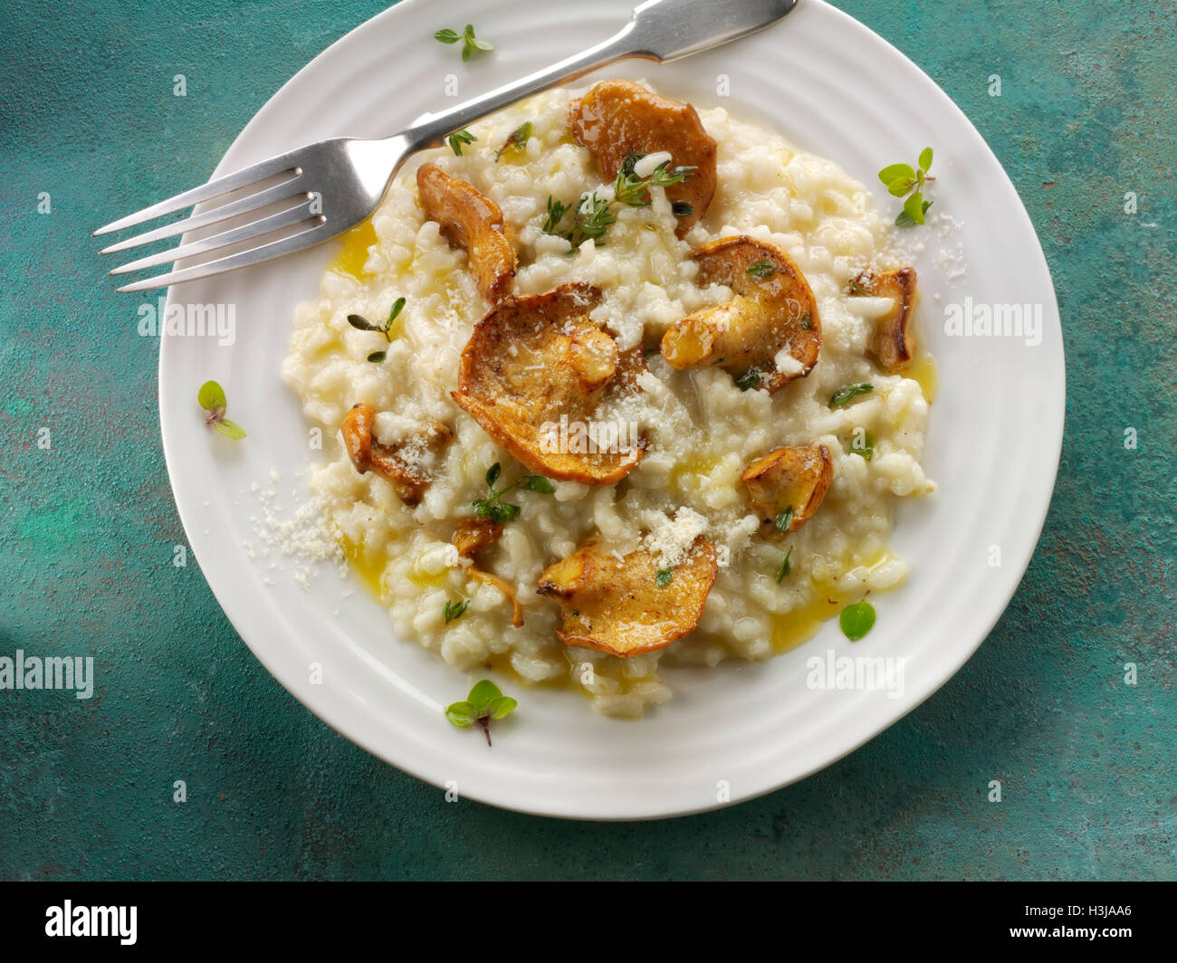 Pied Mouton Mushrooms Recipe Hi res Stock Photography And Images Alamy pied-mouton-mushrooms-recipe-hi-res-stock-photography-and-images-alamy