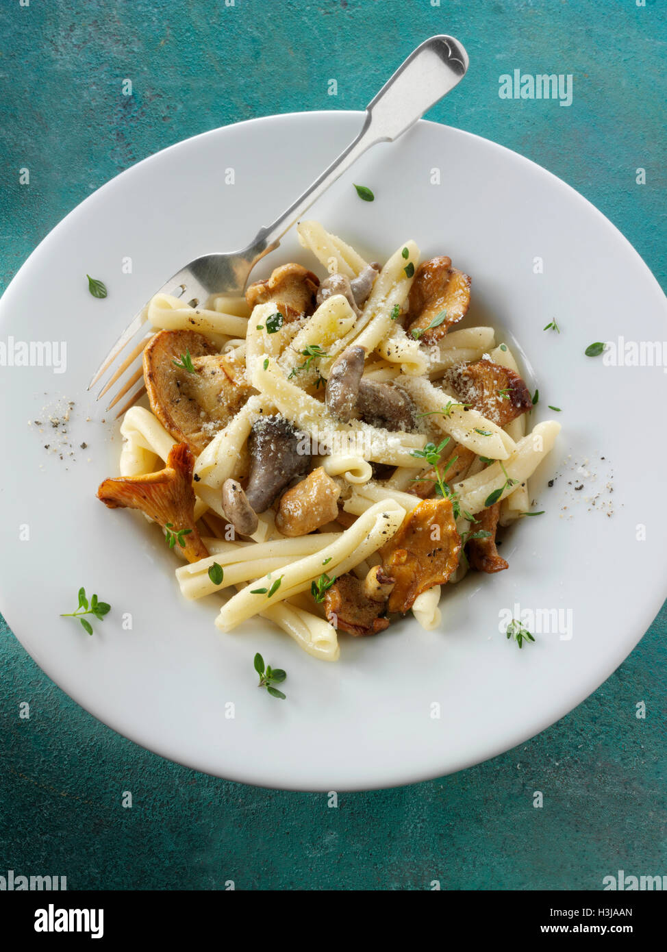 Wiild chanterelle or girolle, Pied de Mouton Mushrooms or hedgehog, Pied  Bleu or blue foot musrooms with pasta Stock Photo - Alamy