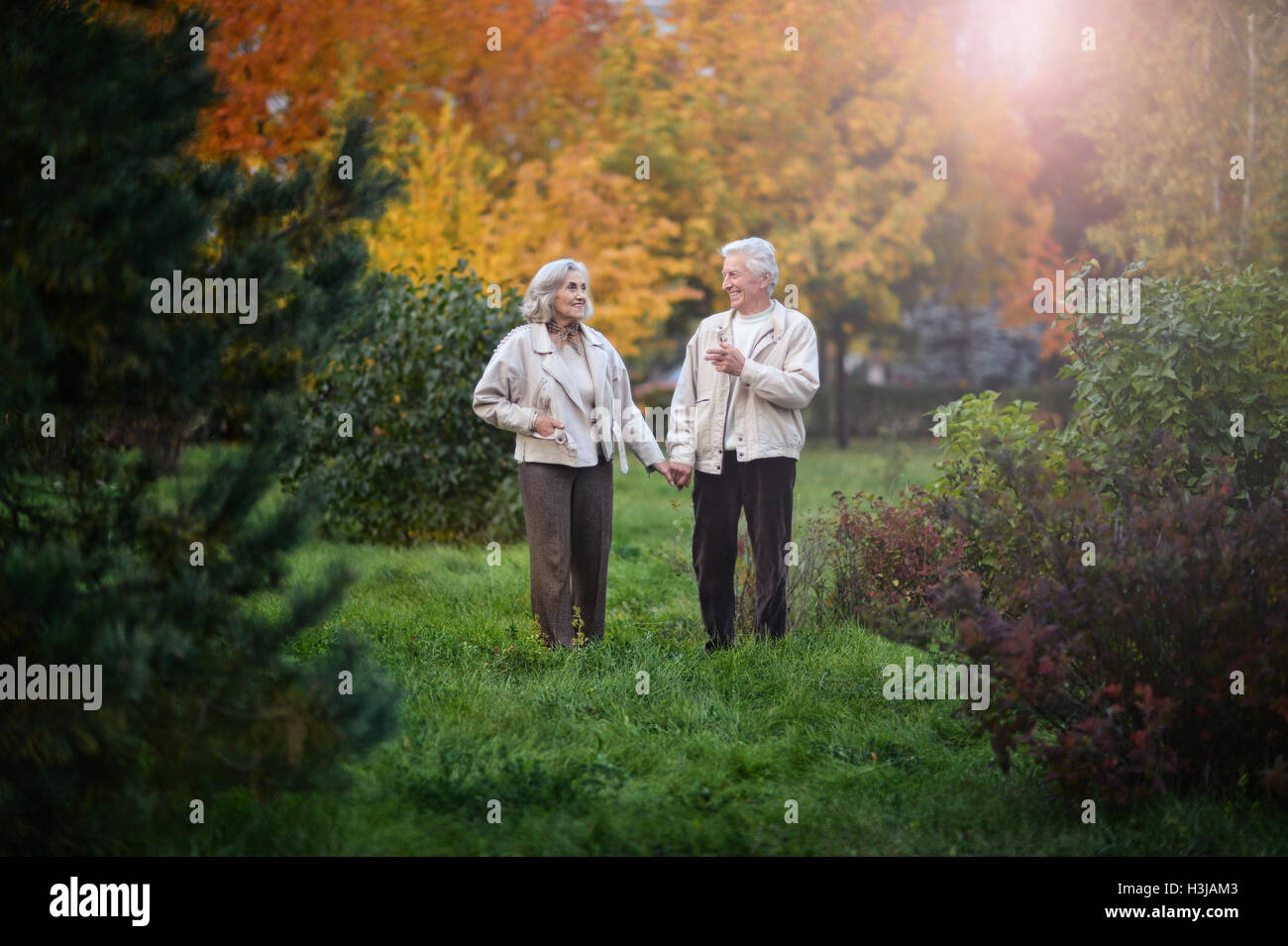 Happy elderly couple walking in the autumn park Stock Photo - Alamy