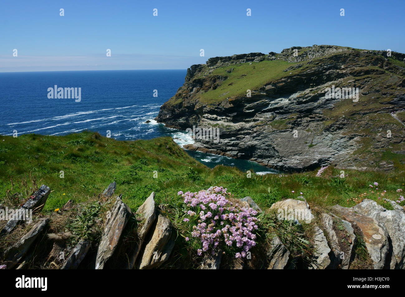 Ragged Cornish coastal landscape with a stone wall, wind flowers, sea