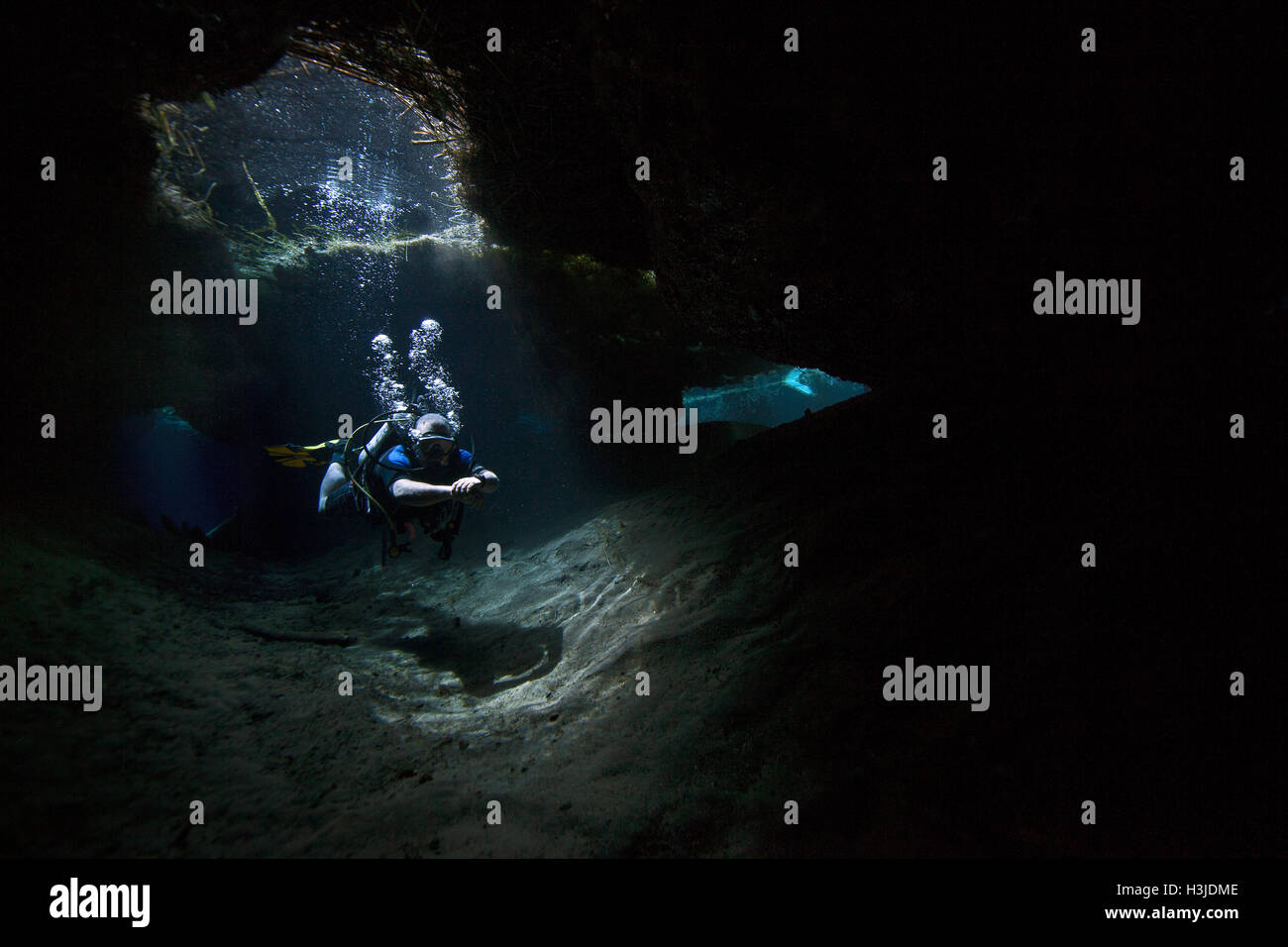 SCUBA diving the underwater cave in Media Luna freshwater lagoon near Rio Verde, San Luis Potosi, Mexico. Stock Photo