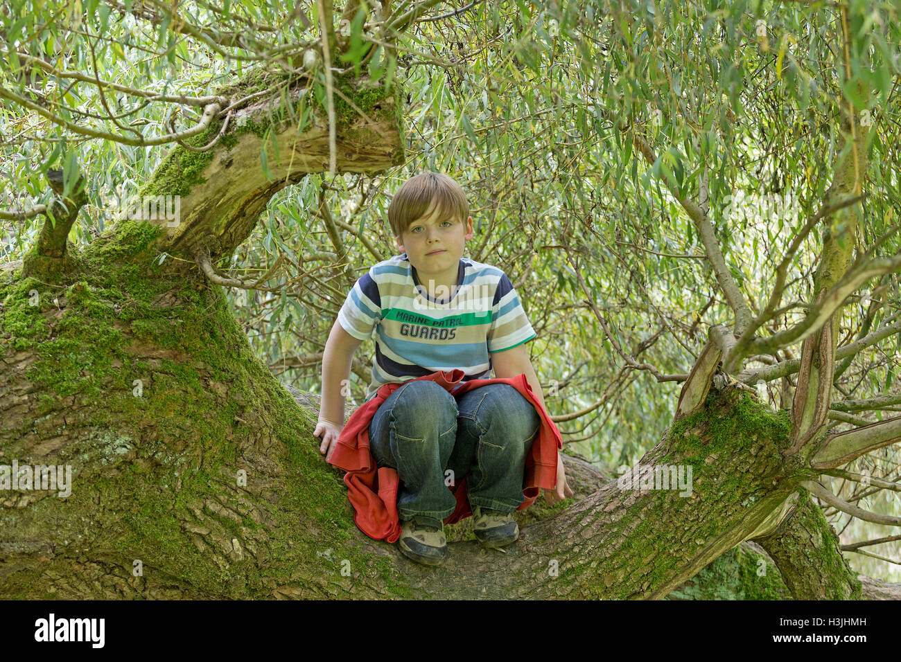 young boy sitting in a tree Stock Photo