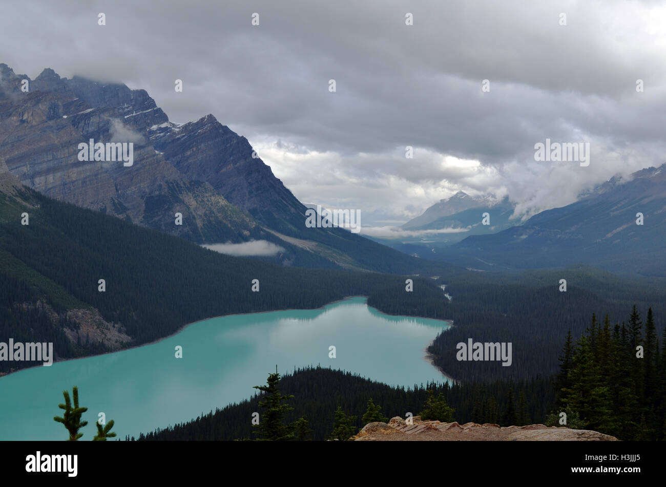 peyto lake in banff national park Stock Photo - Alamy
