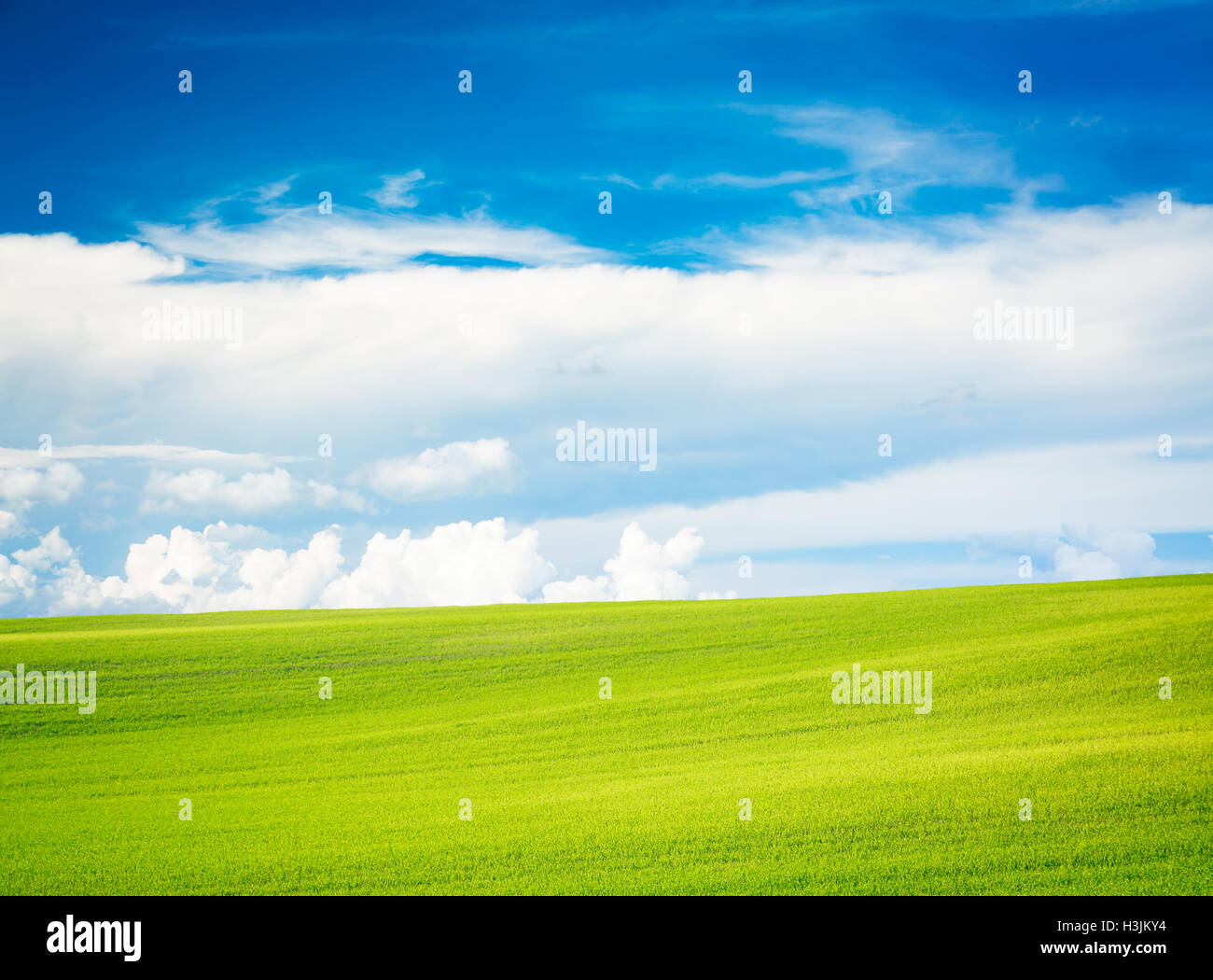Summer Landscape with Green Field and Blue Sky Stock Photo - Alamy