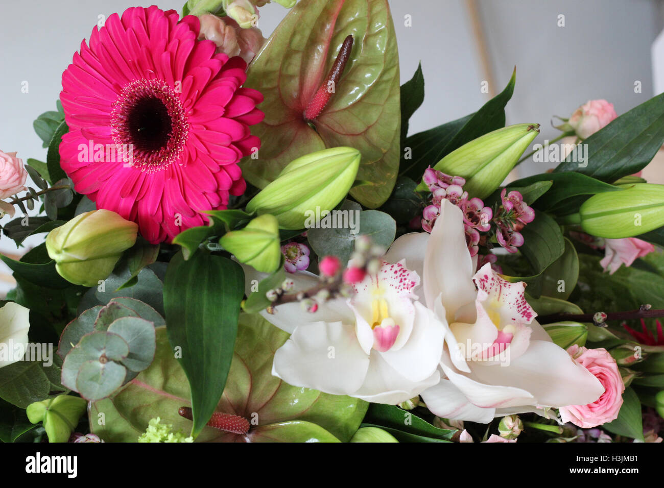 Pink flower stands out in a bouquet Stock Photo Alamy