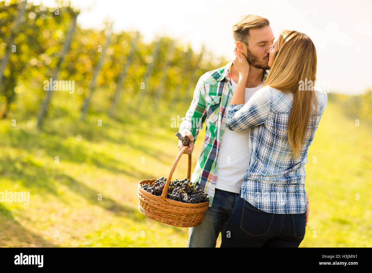Photo of a young couple kissing in a vineyard Stock Photo - Alamy