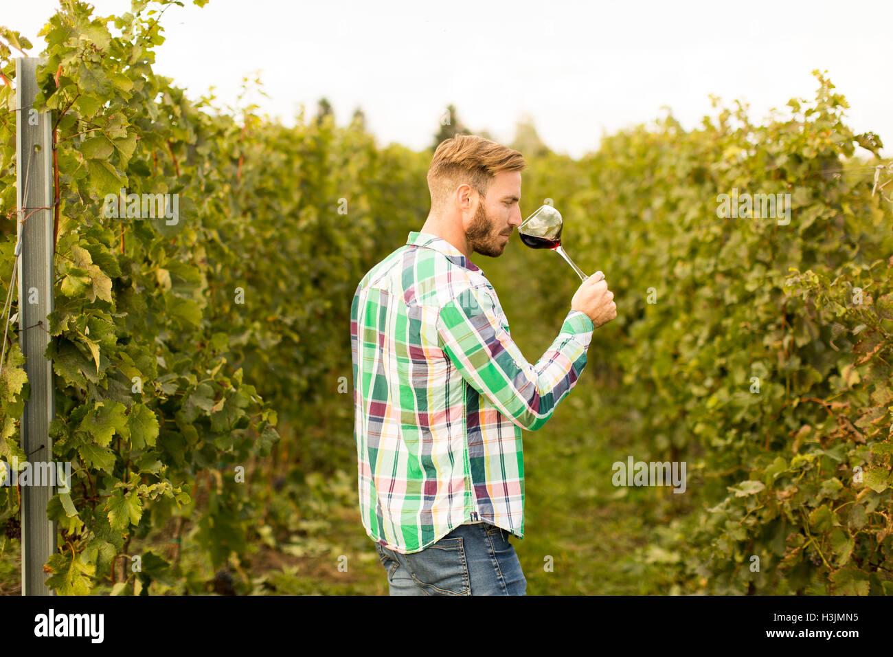 Young winemaker tasting red wine in vineyard Stock Photo