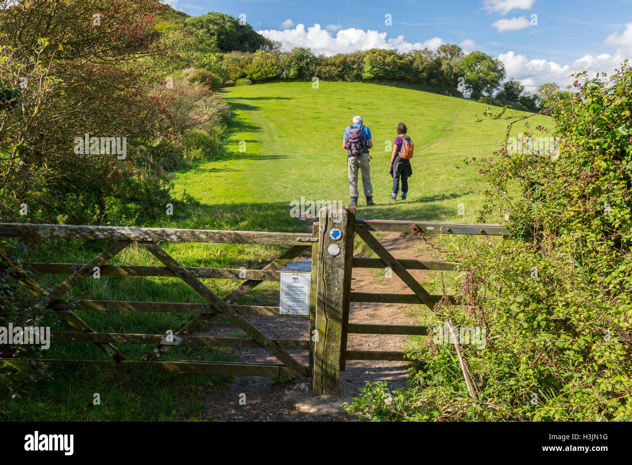 Walkers on the footpath to Golden Cap at the edge of Langdon Woods above Seatown, Dorset, England, UK Stock Photo