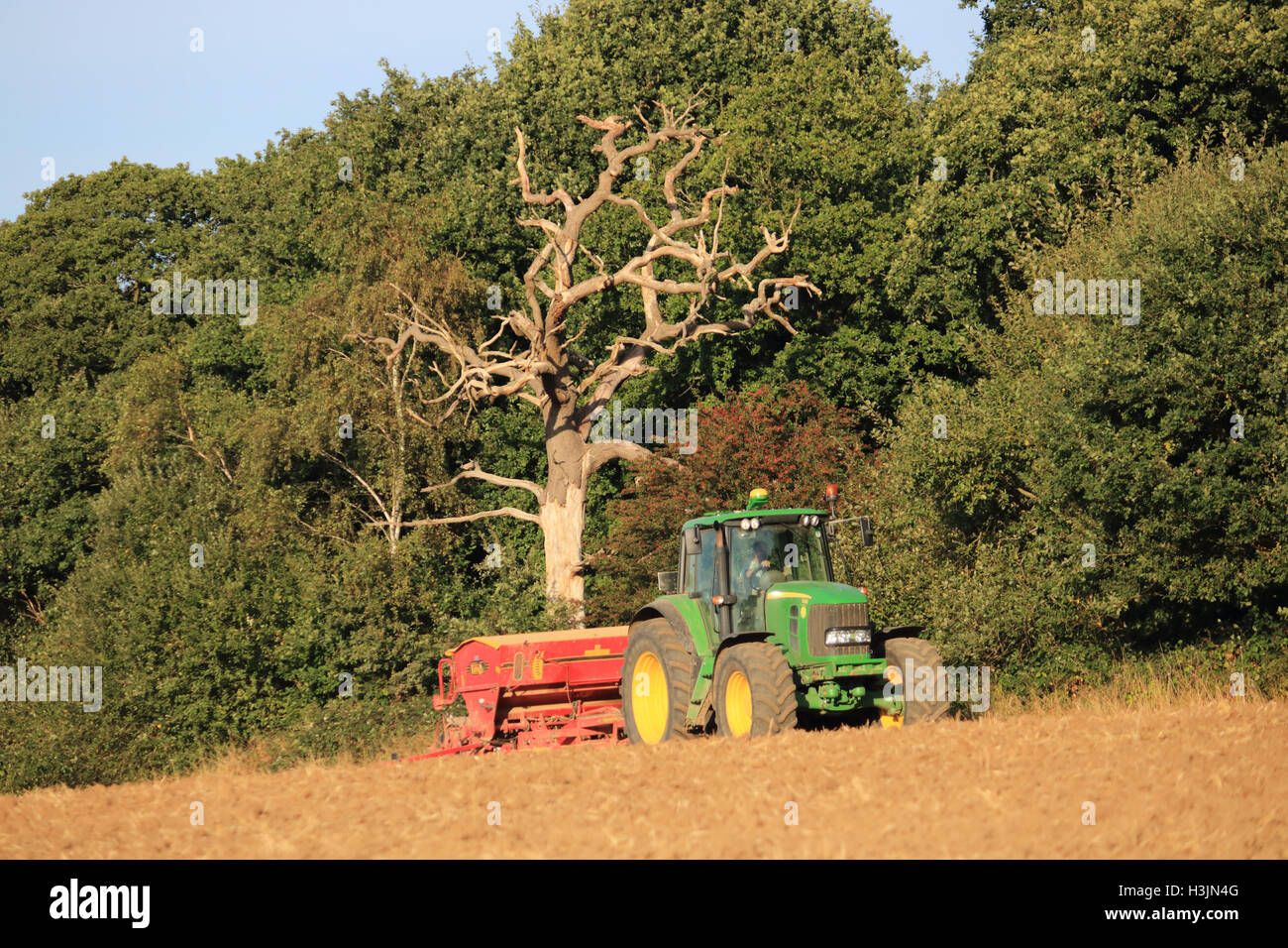 Drilling winter wheat seed at Chessington Surrey England UK Stock Photo