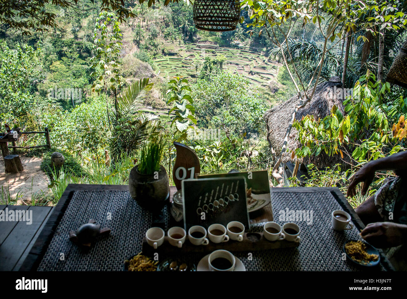Bali Indonesia Coffee tasting Luwak brewed in the jungle Stock Photo
