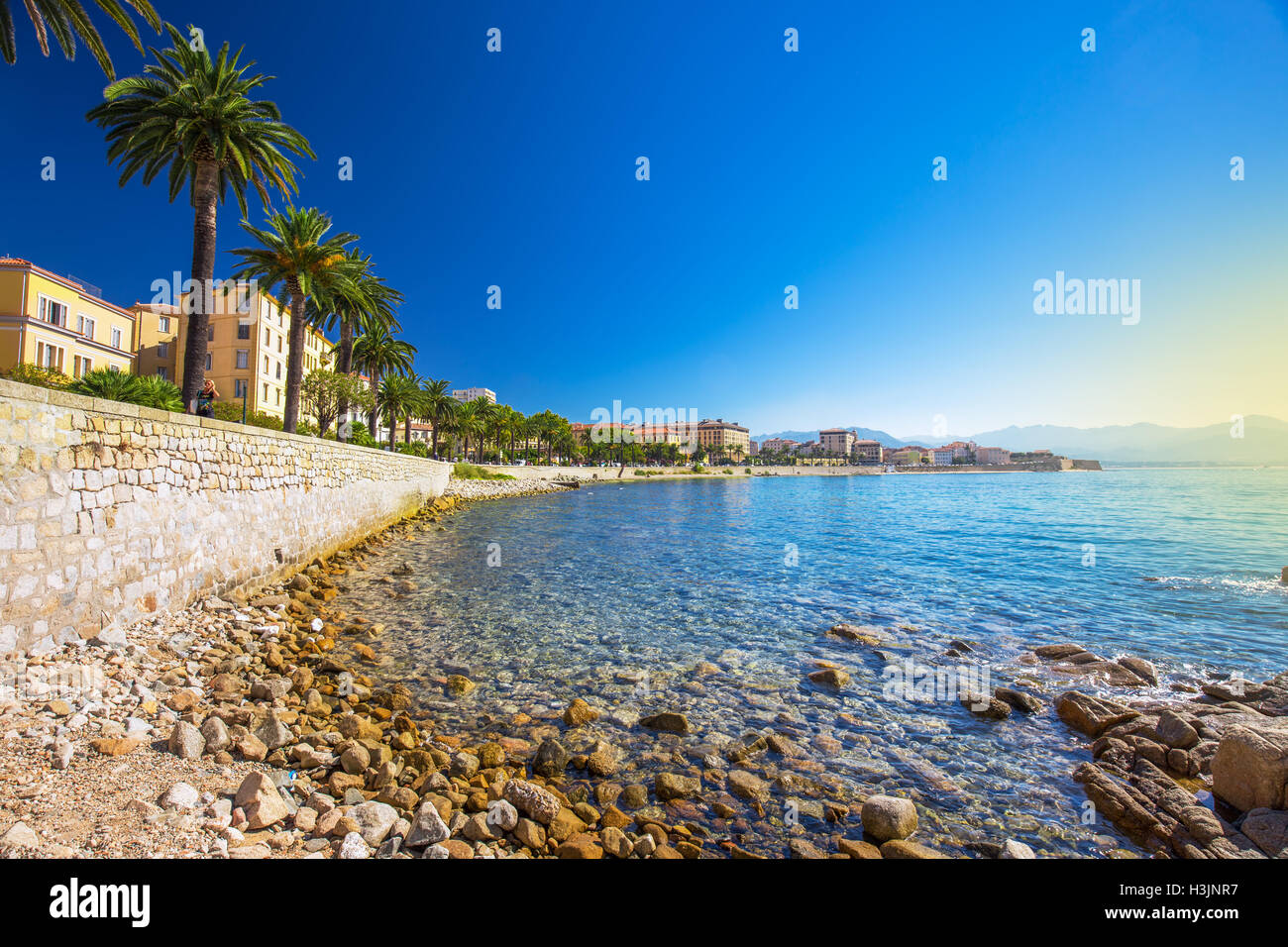 Ajaccio old city center coastal cityscape with palm trees and typical old houses, Corsica, France, Europe. Stock Photo