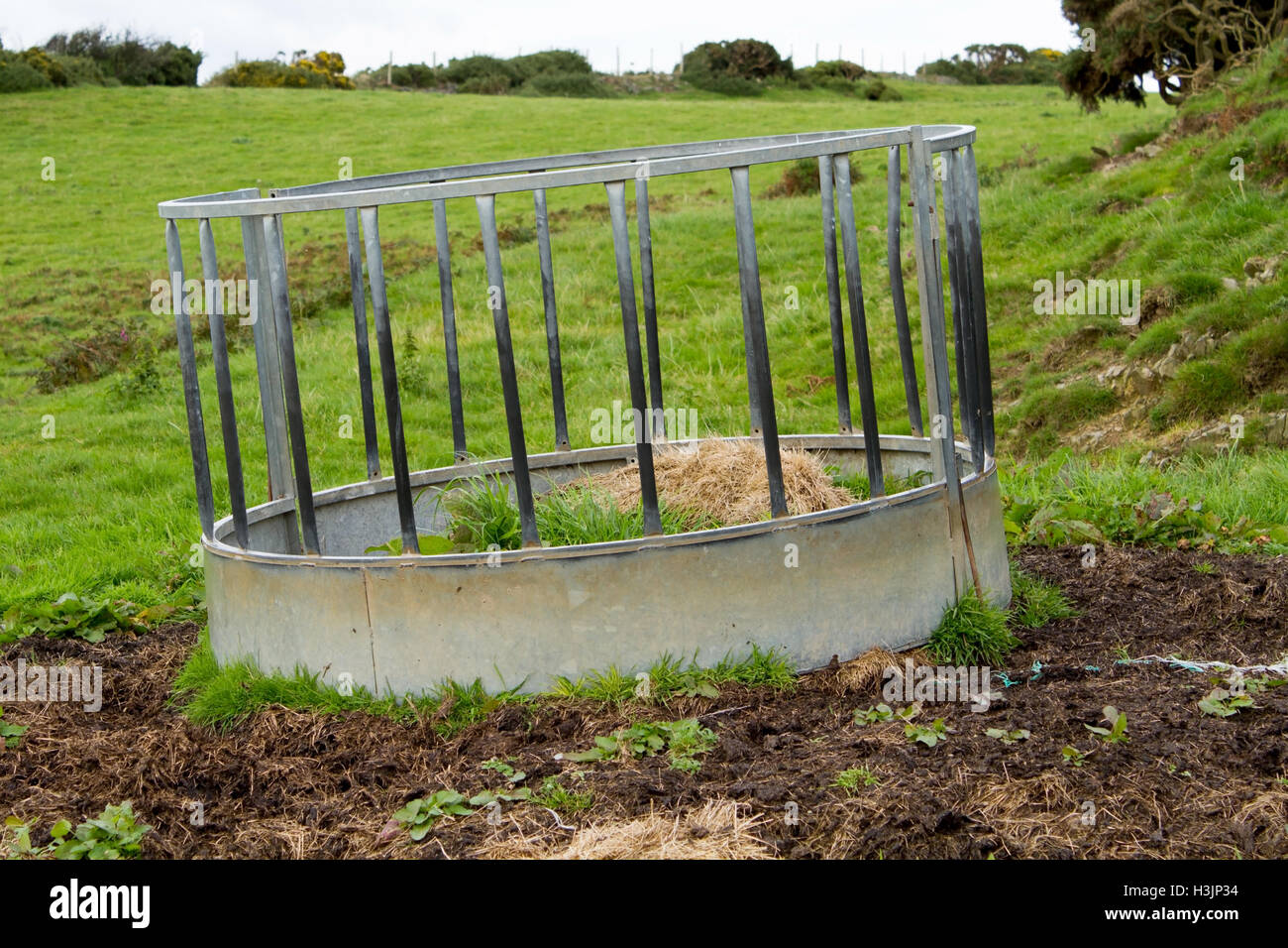 Rural Farm Feeder Grass Countryside Farming Hay Nature