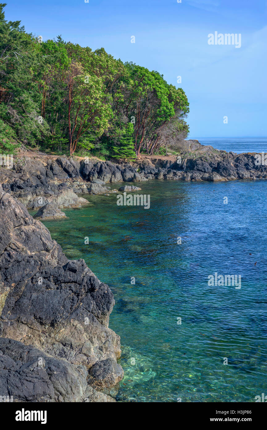 USA, Washington, San Juan Island, Lime Kiln Point State Park, Pacific madrone trees and rocky shoreline. Stock Photo