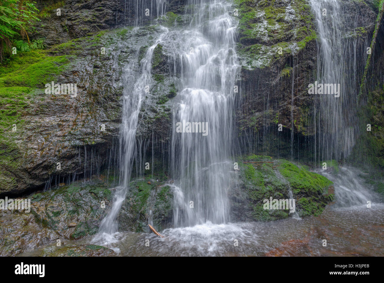 USA, Washington, San Juan Islands, Orcas Island, Moran State Park, Cascade Falls in spring. Stock Photo