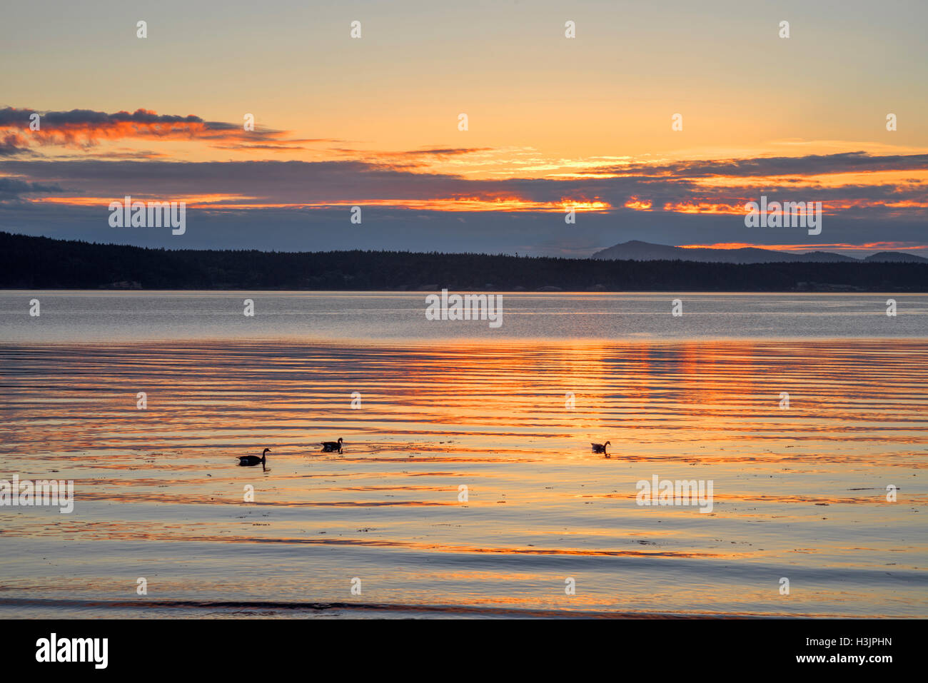 USA, Washington, San Juan Islands, Orcas Island, Sunset from West Beach