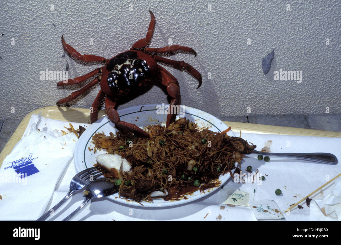 Christmas Island red crab (Gecarcoidea natalis) Stock Photo
