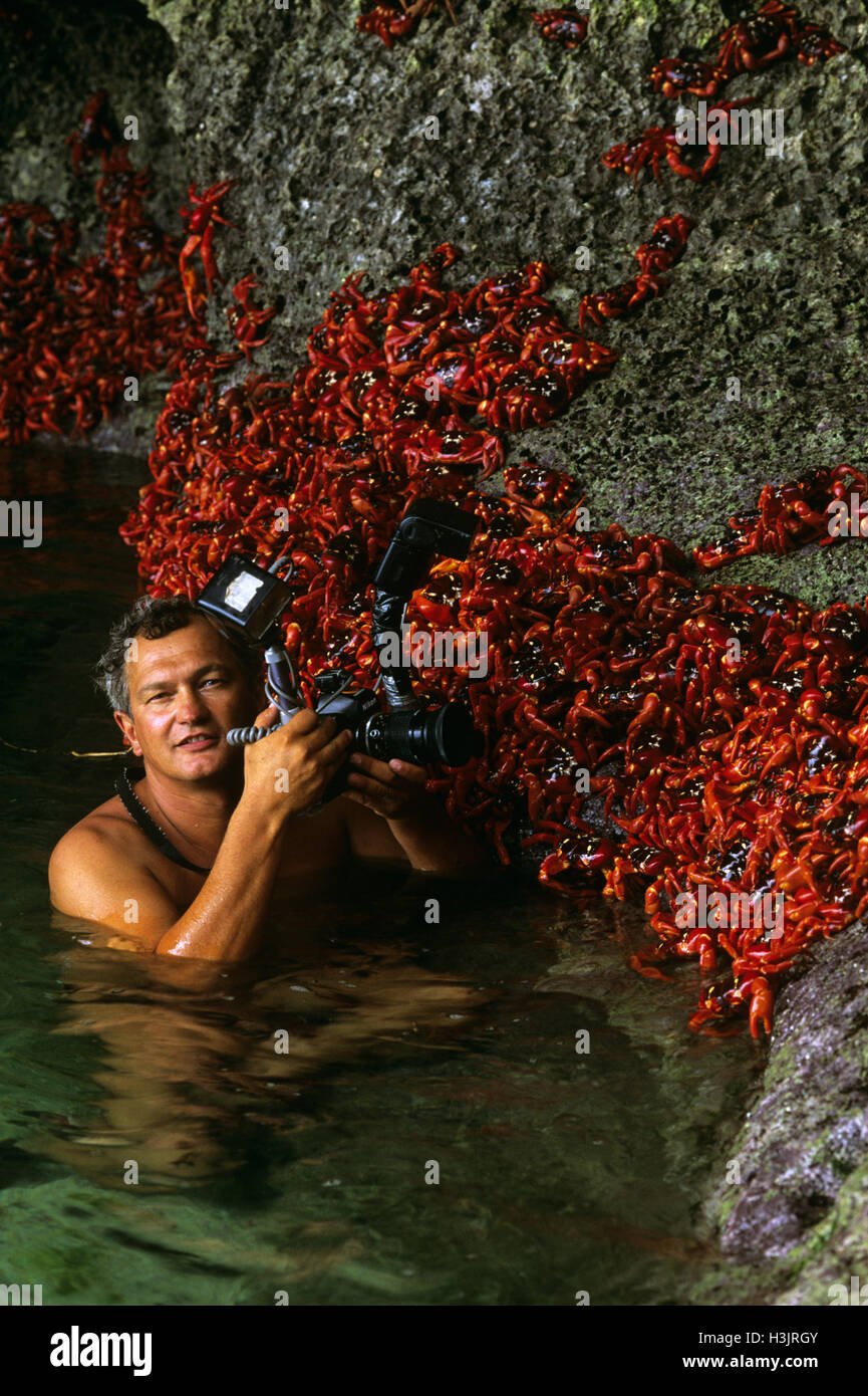 Jean-Paul Ferrero photographing the annual migration of Christmas Island red crabs, Stock Photo