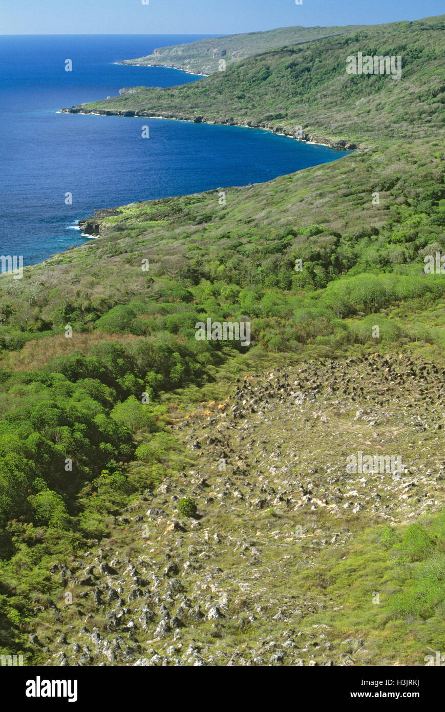 The east coast of Christmas Island, Stock Photo