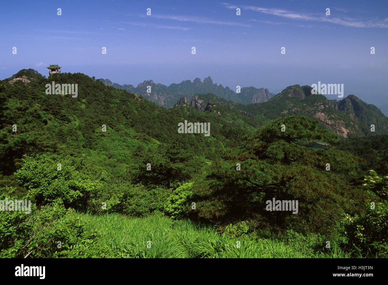 Huangshan 'The Yellow Mountains', Stock Photo