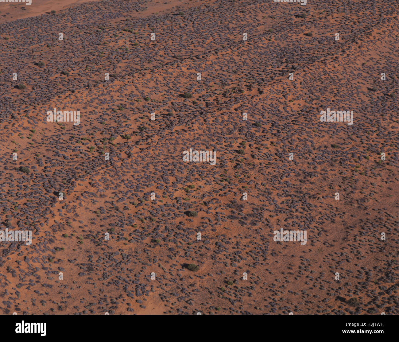 Dune fields, aerial photograph. Stock Photo