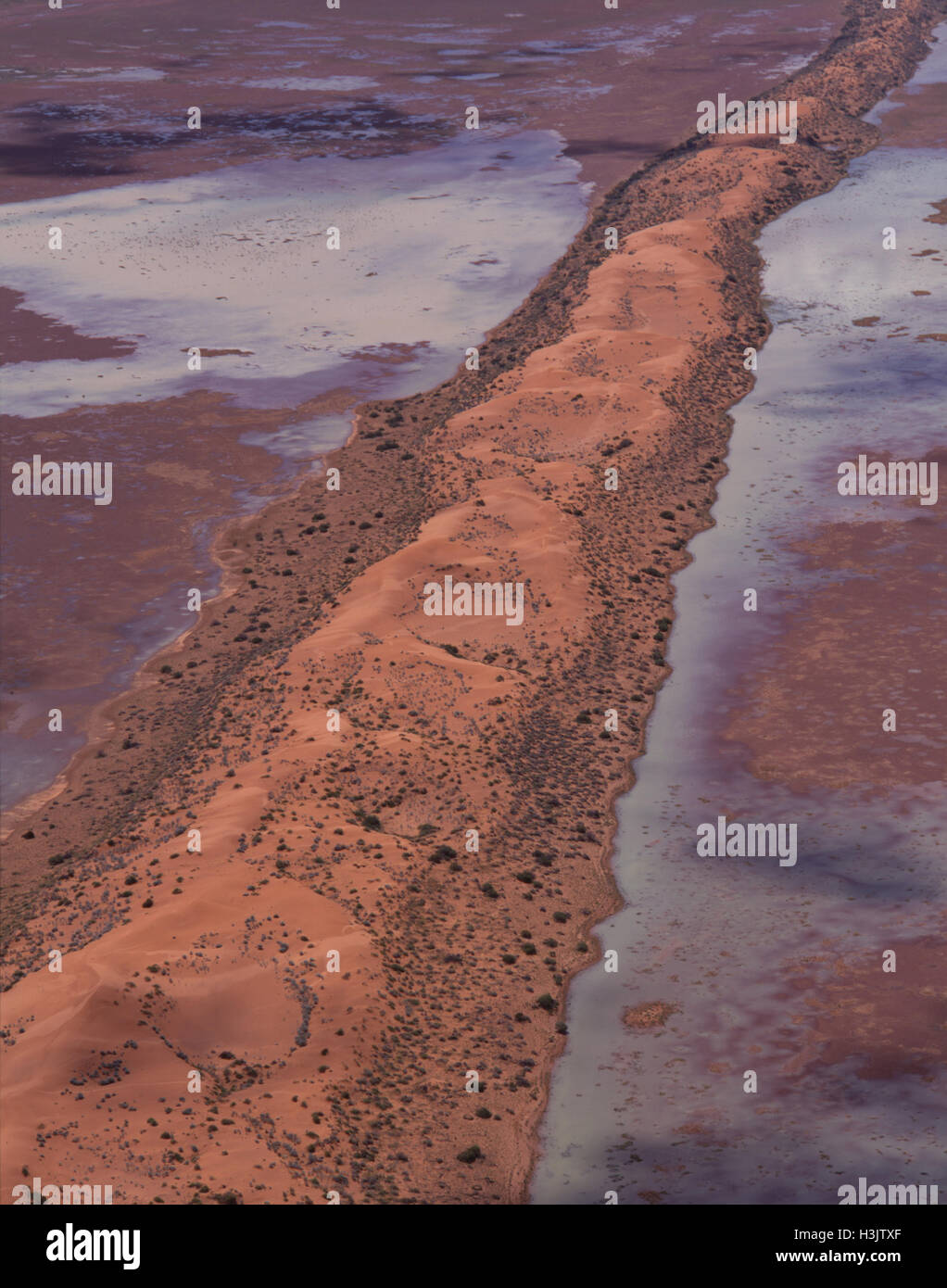 Desert dunes after a flood, Stock Photo