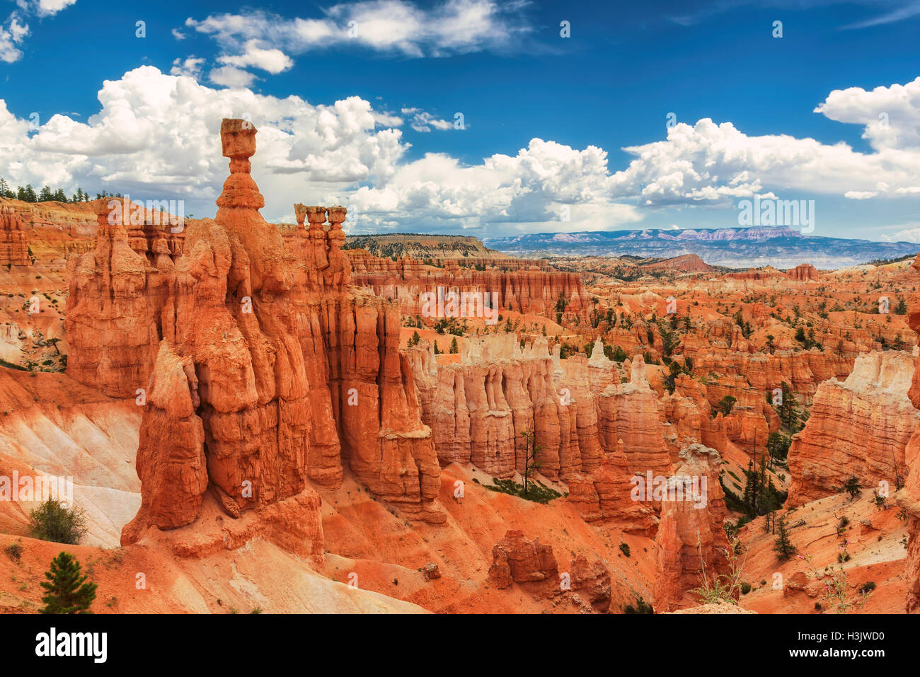 Bryce Canyon National Park in Utah Stock Photo