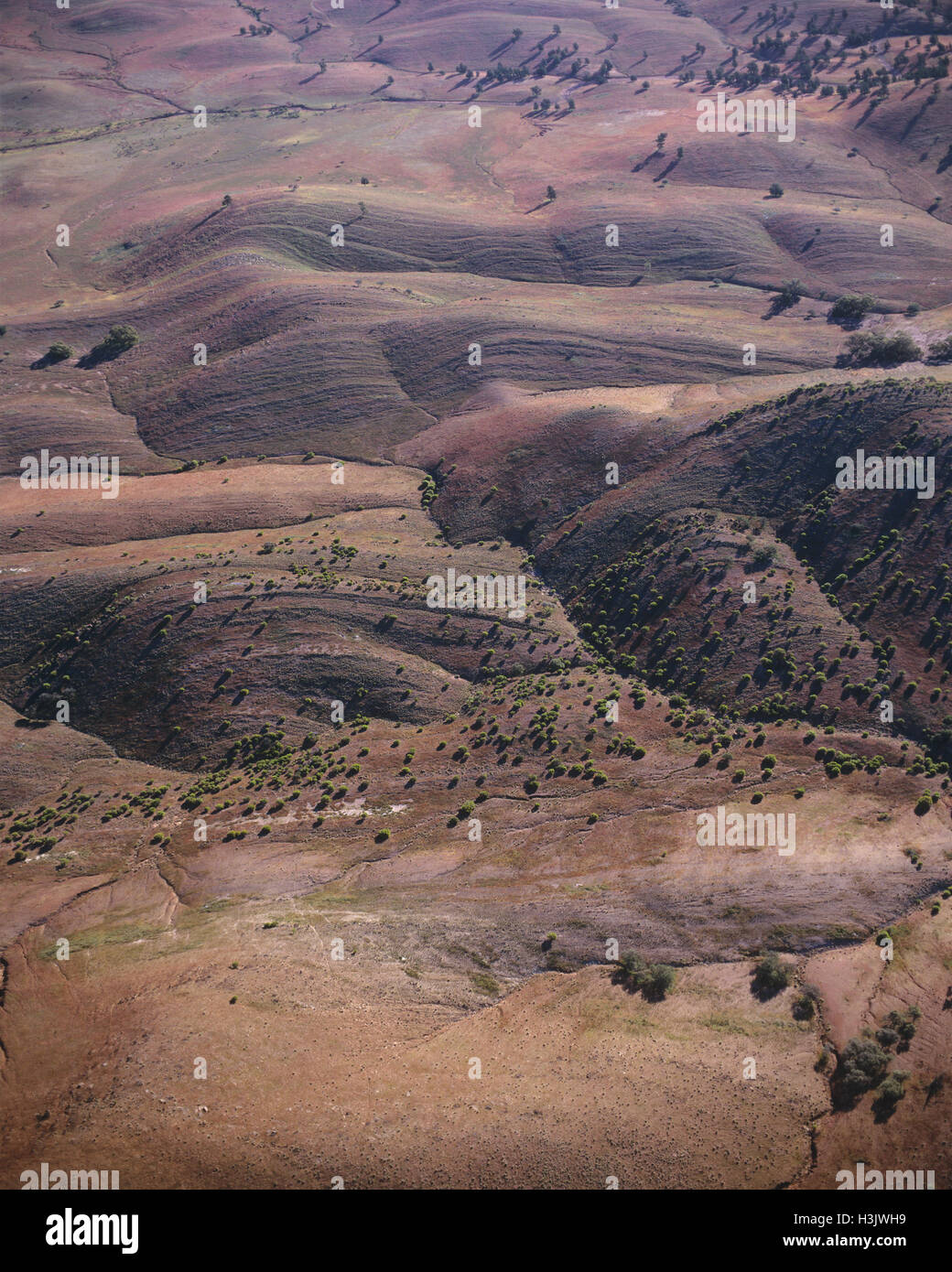 Aerial photograph of folded mountains in the North Flinders Ranges, Stock Photo