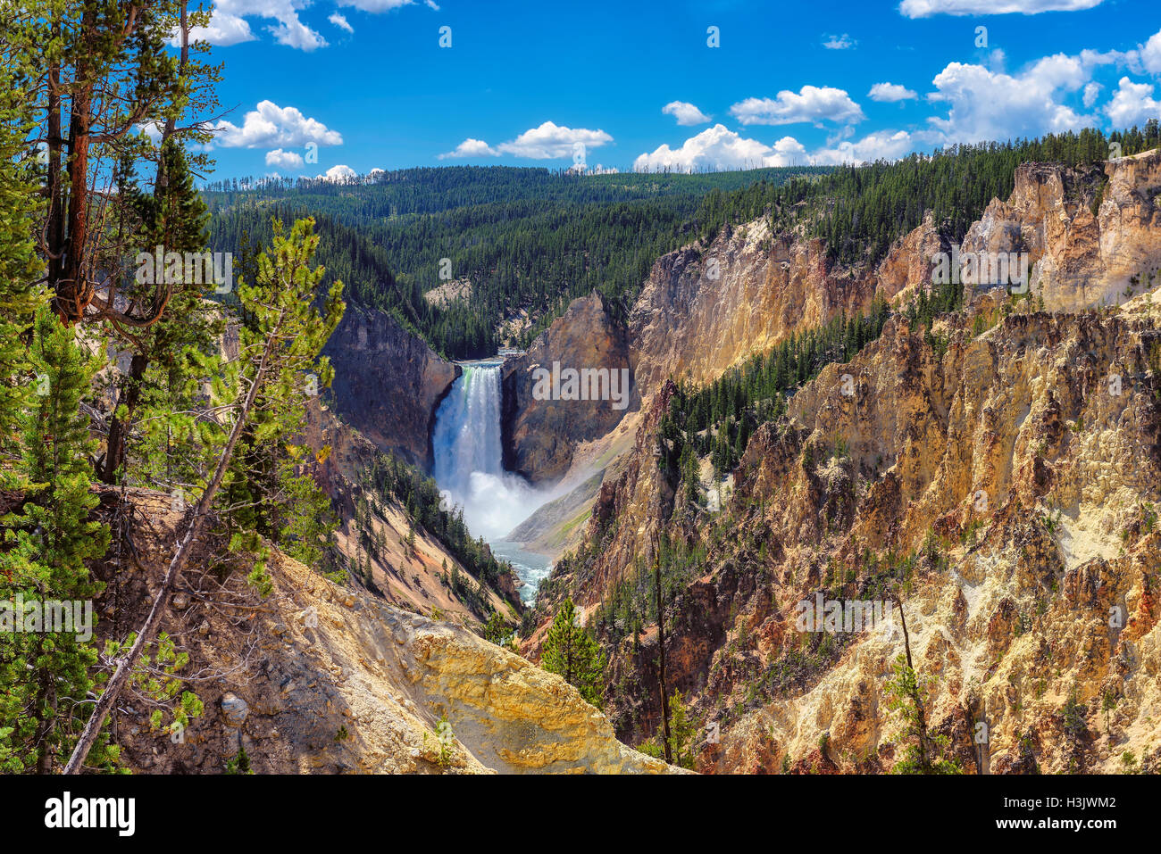Yellowstone National Park, Lower Falls, Wyoming - United States of America Stock Photo