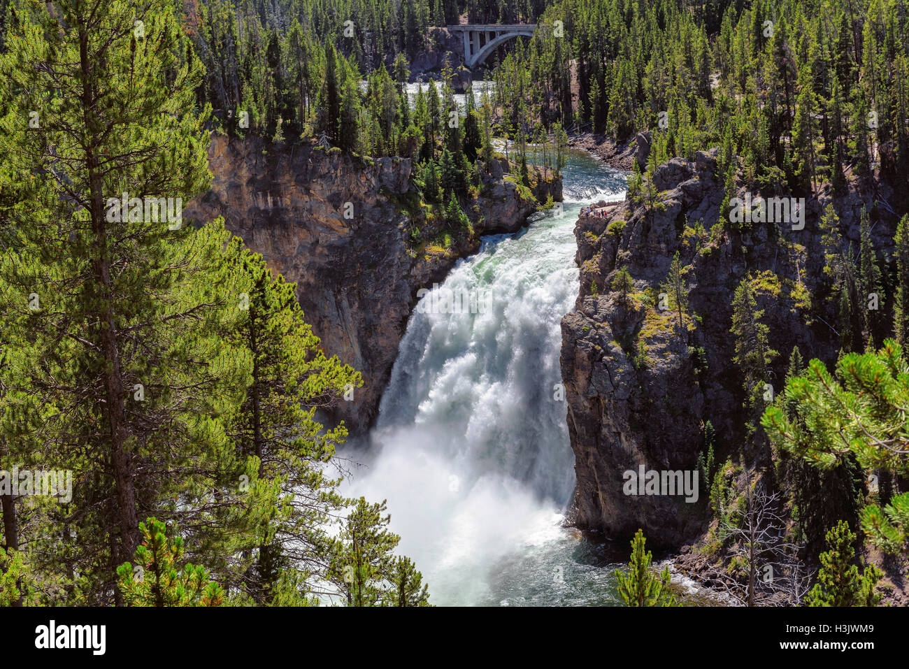 Falls at Grand Canyon of the Yellowstone National Park Stock Photo