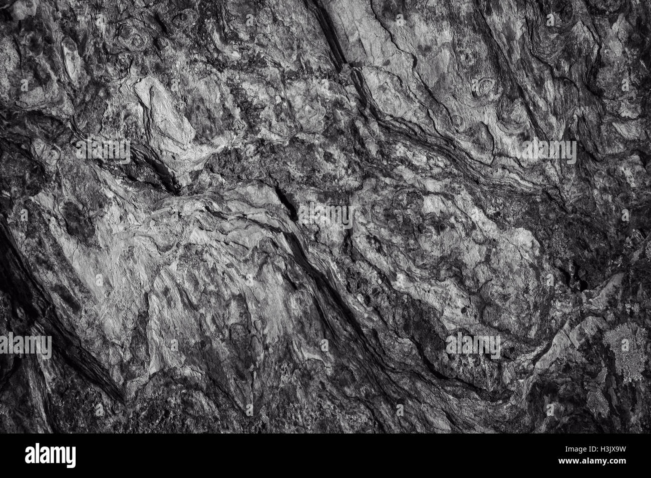 Surface of the rock in black and white Stock Photo - Alamy