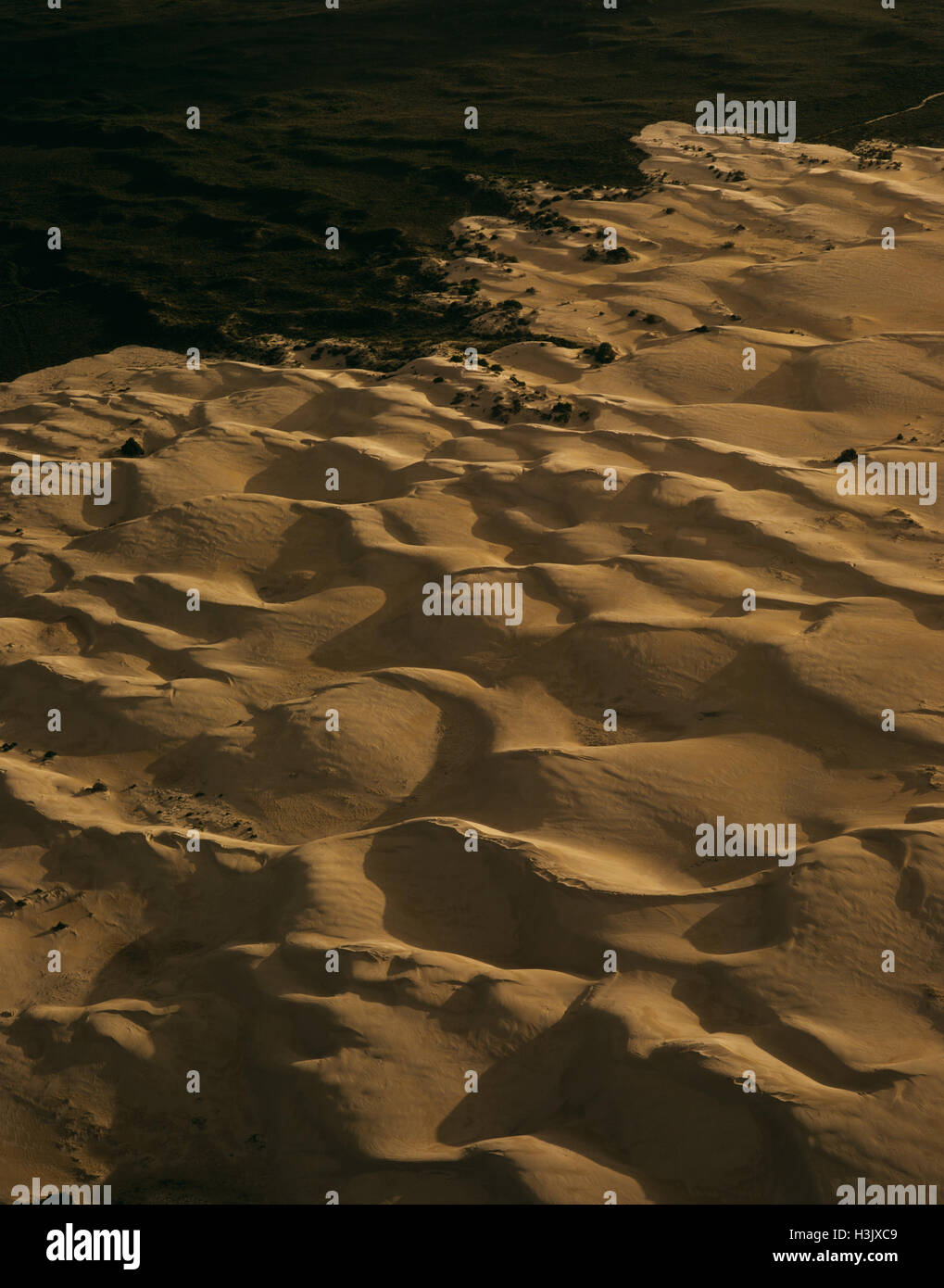 Sand dunes of the Pinnacles Deserts Stock Photo