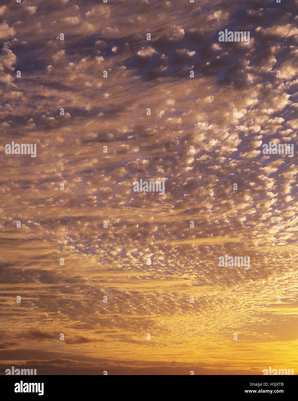 Altocumulus and cirrostratus clouds Stock Photo