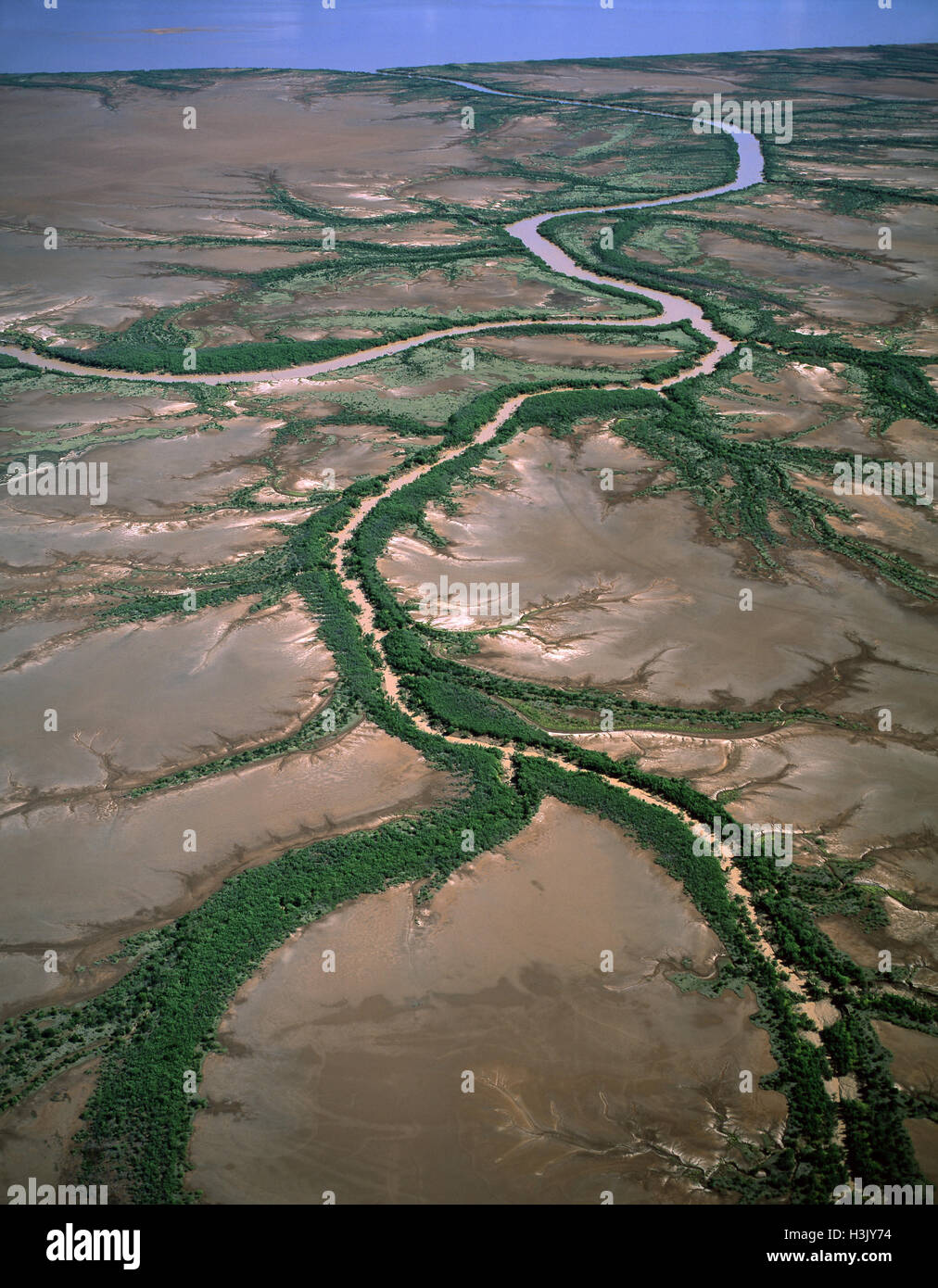 King Sound near Derby: tidal flats, mangrove-lined river and dendritic drainage, Stock Photo