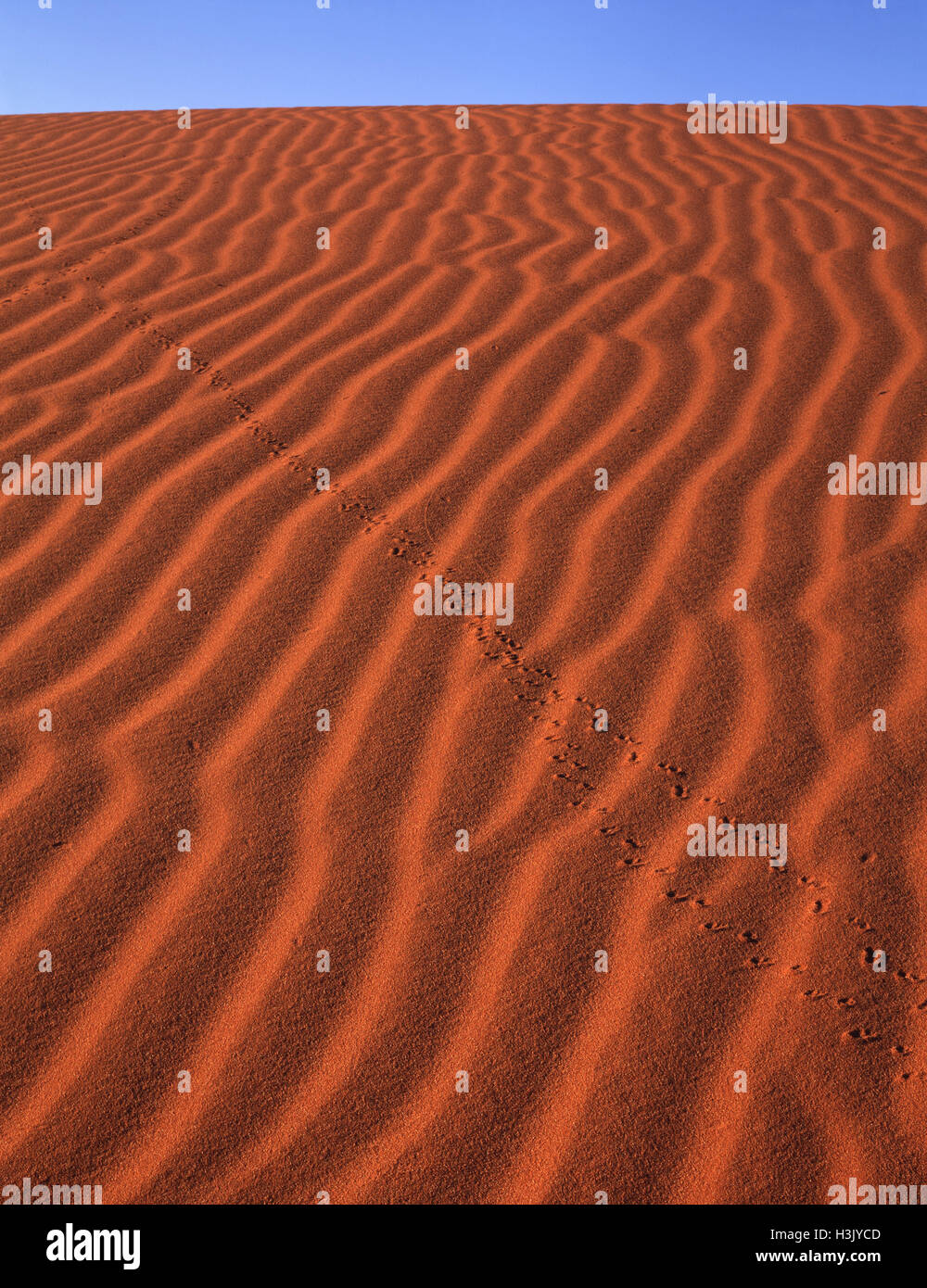 Big red sand dune birdsville hi-res stock photography and images - Alamy