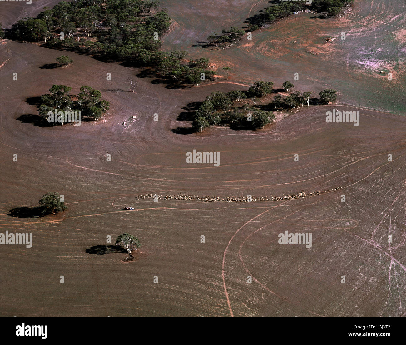 Aerial photograph of land cleared for agriculture Stock Photo
