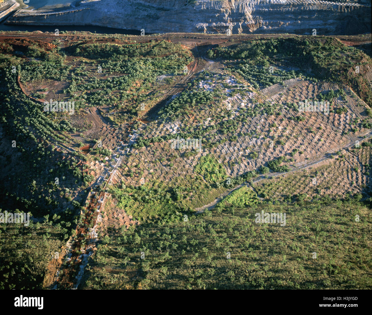 Resurfacing and replanting former open-cut iron mine, Stock Photo