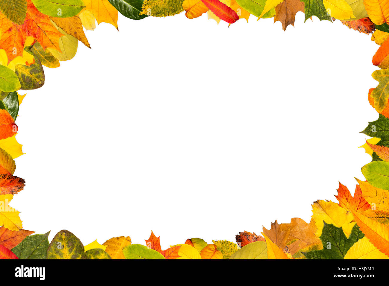 Frame with colorful maple leaves for autumn background Stock Photo - Alamy