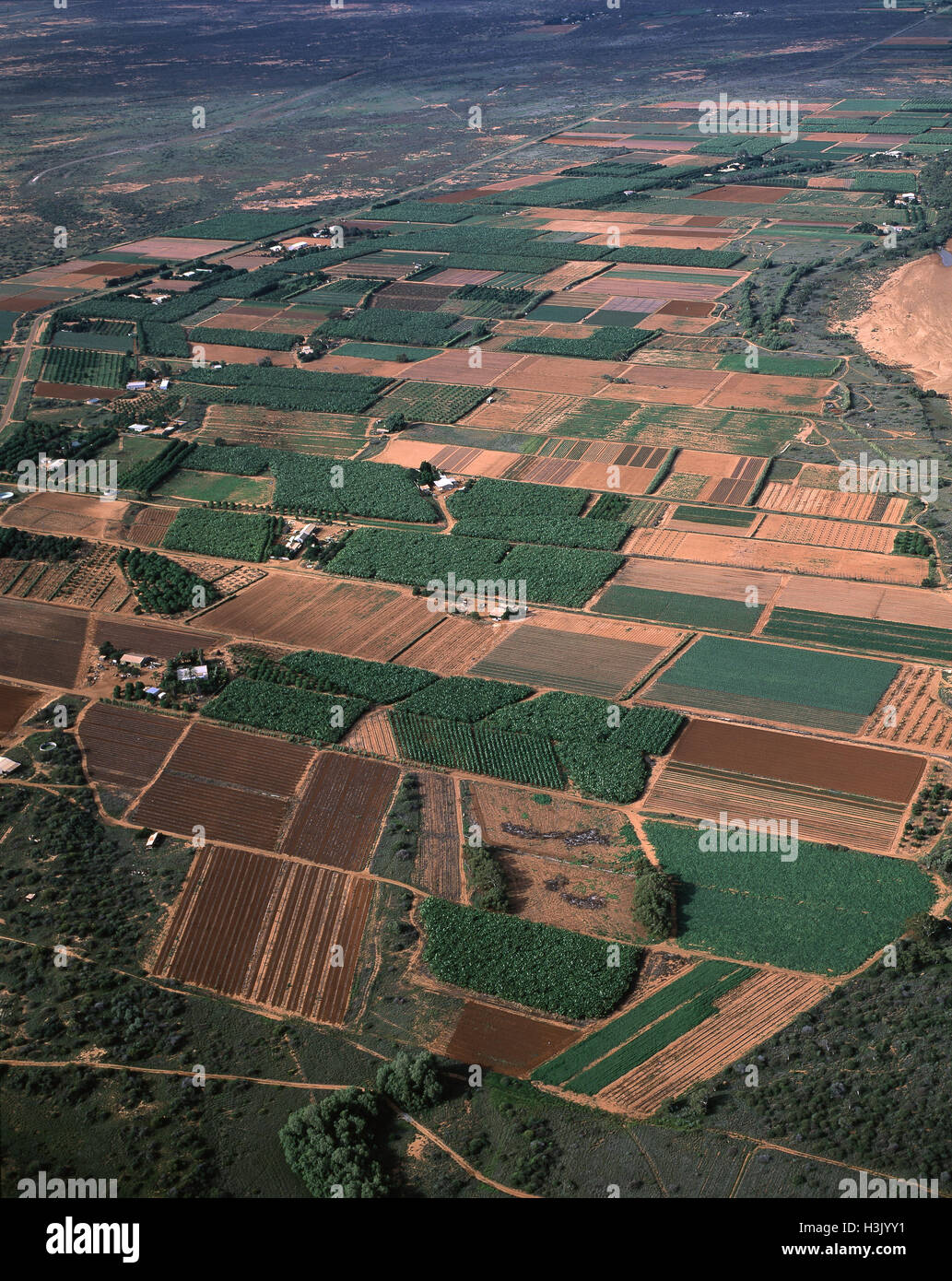 Aerial: fruit and vegetable crops. Stock Photo