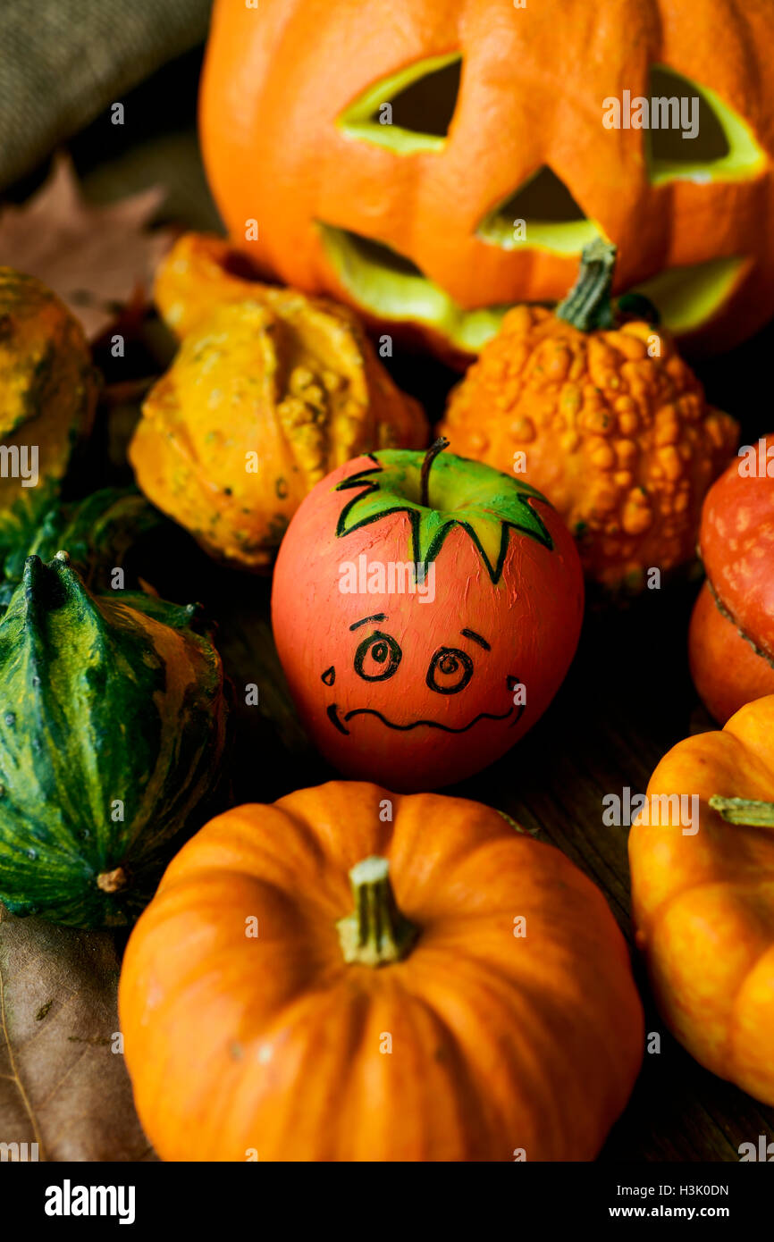 an apple disguised as a pumpkin with a funny face trying to go unnoticed between different real pumpkins Stock Photo