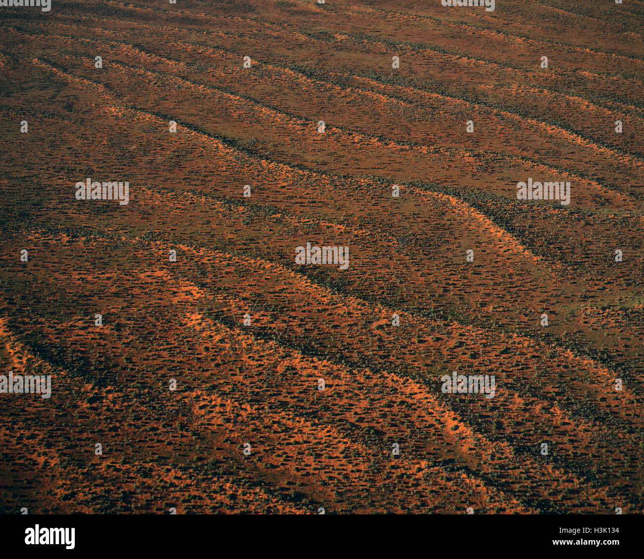 Great victoria desert dunes hires stock photography and images Alamy