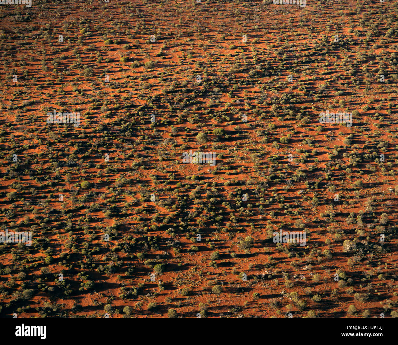 Great Victoria Desert, Stock Photo