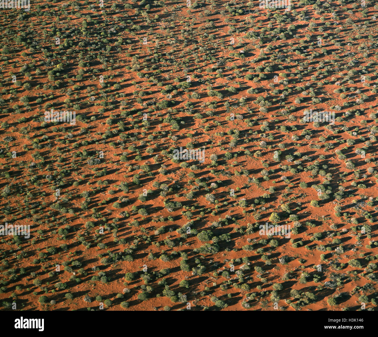 Scrub terrain hires stock photography and images Alamy