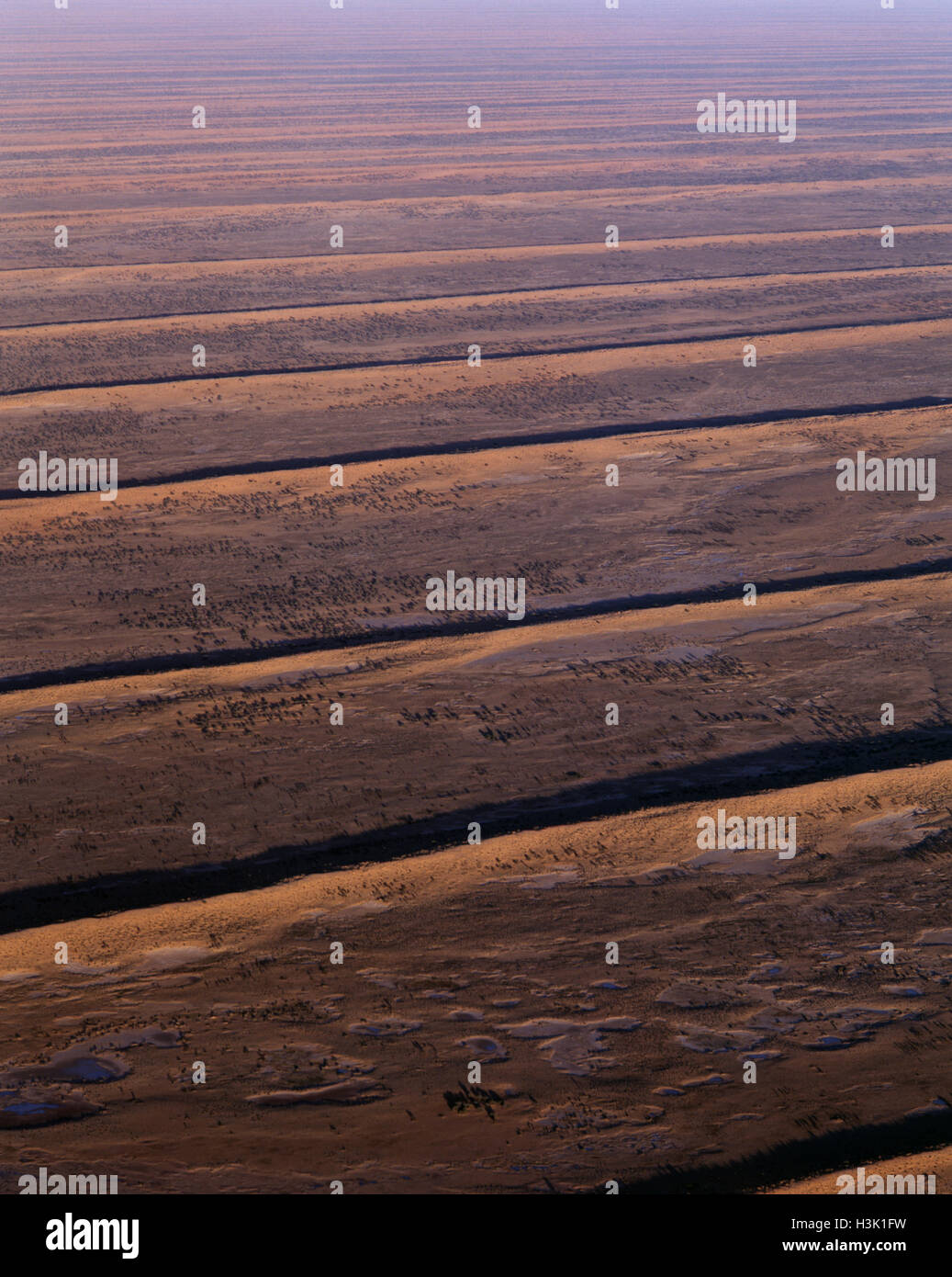 Dunefields, dunes, and interdune corridors Stock Photo - Alamy