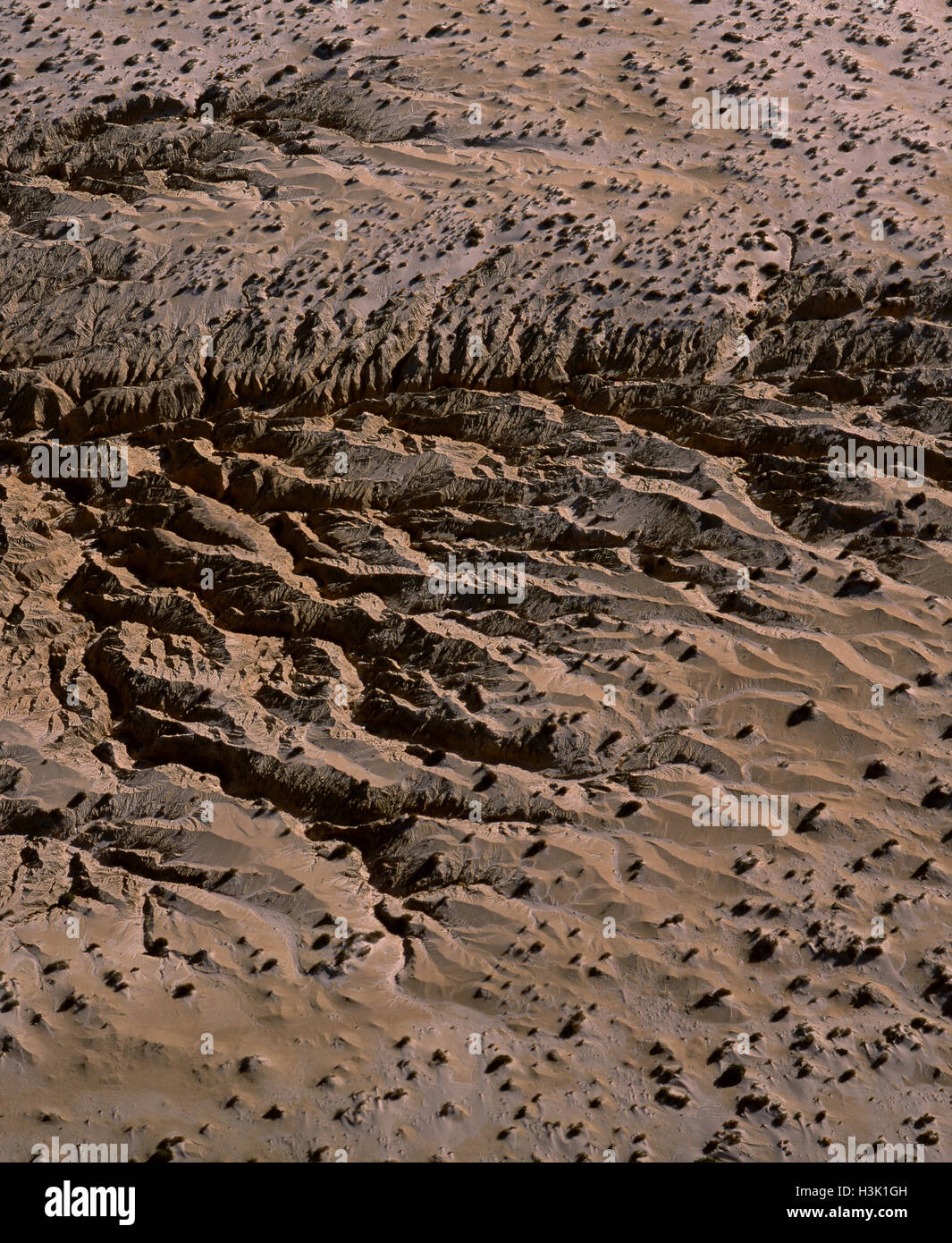 Eroded sand cliffs, Stock Photo