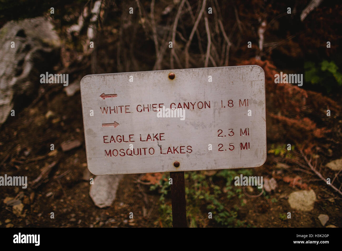 Direction sign, close-up, Mineral King, Sequoia National Park, California, USA Stock Photo