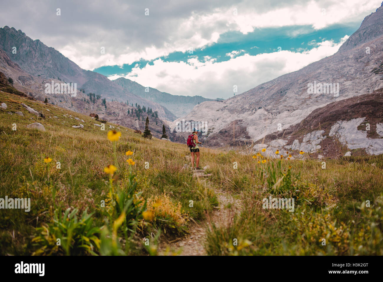 Hiking in sequoia national park hi-res stock photography and images - Alamy