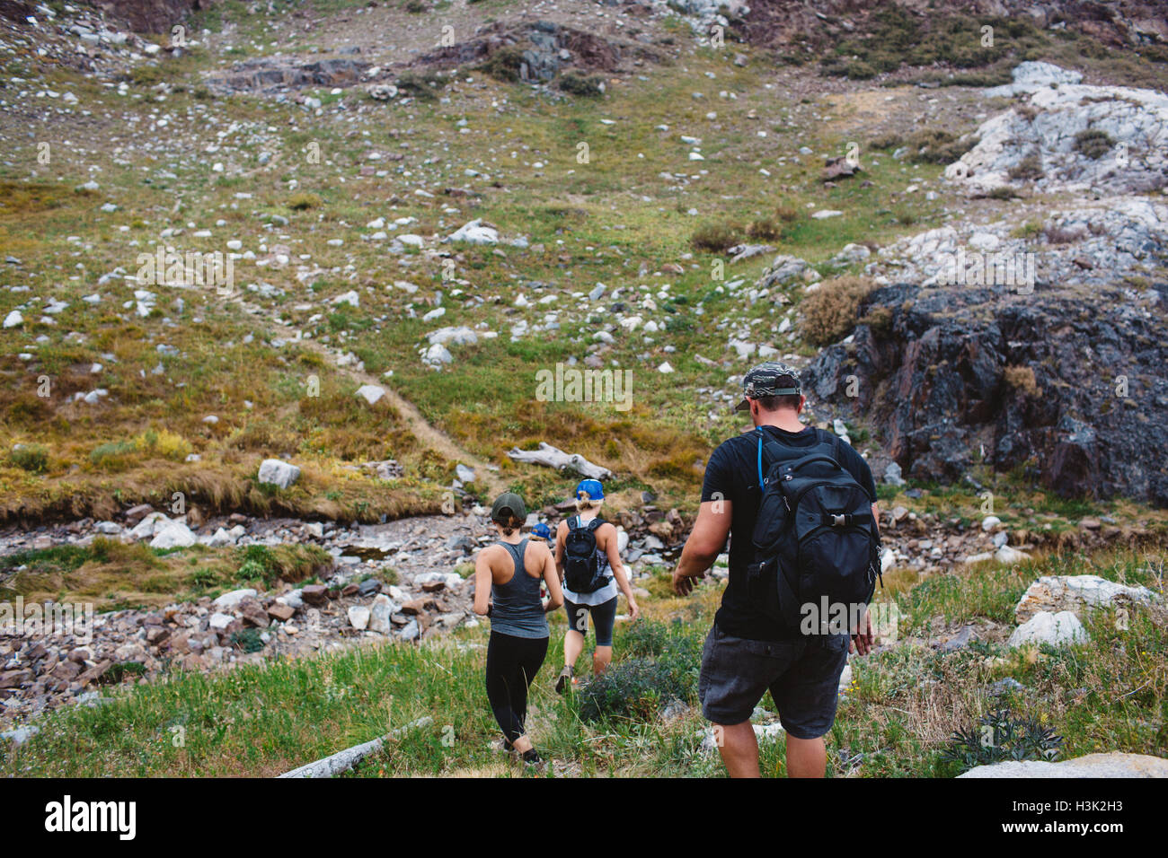 Three adults hiking down hill, rear view, Mineral King, Sequoia National Park, California, USA Stock Photo