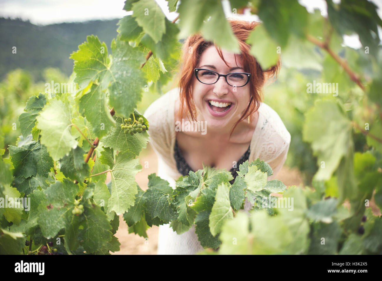 Young woman peering through vines, laughing, Boutenac, France Stock Photo